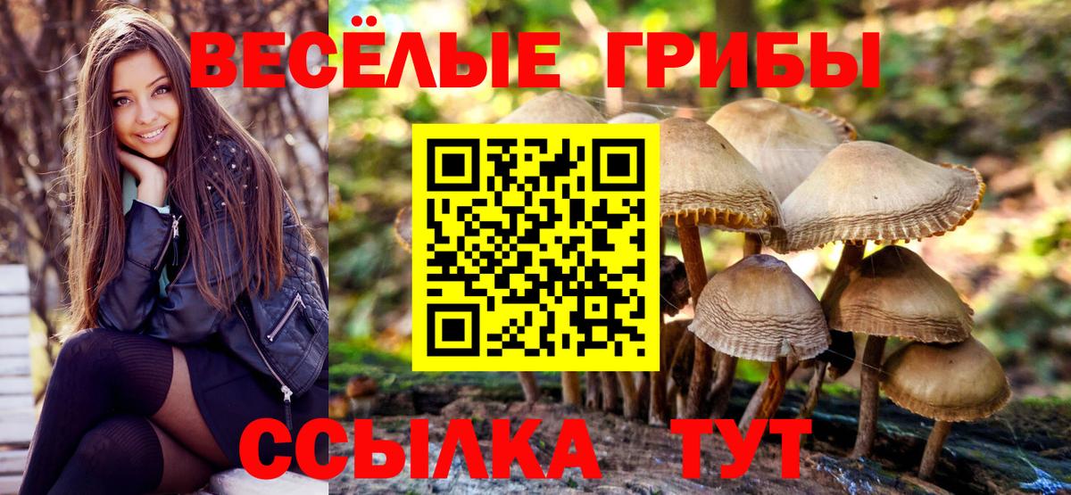 Псилоцибиновые грибы MAGIC MUSHROOMS Чапаевск